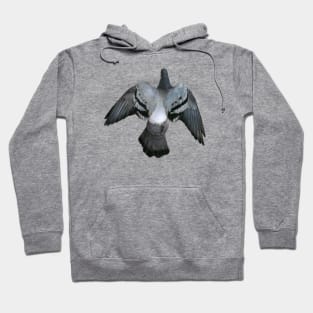 Pigeon Hoodie